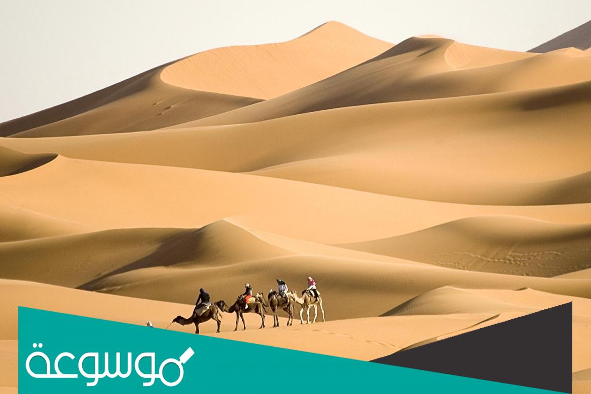 العاصي من اي شمر