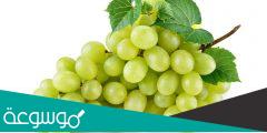 تفسير رؤية العنب الأخضر في المنام بمختلف الحالات للمتزوجة
