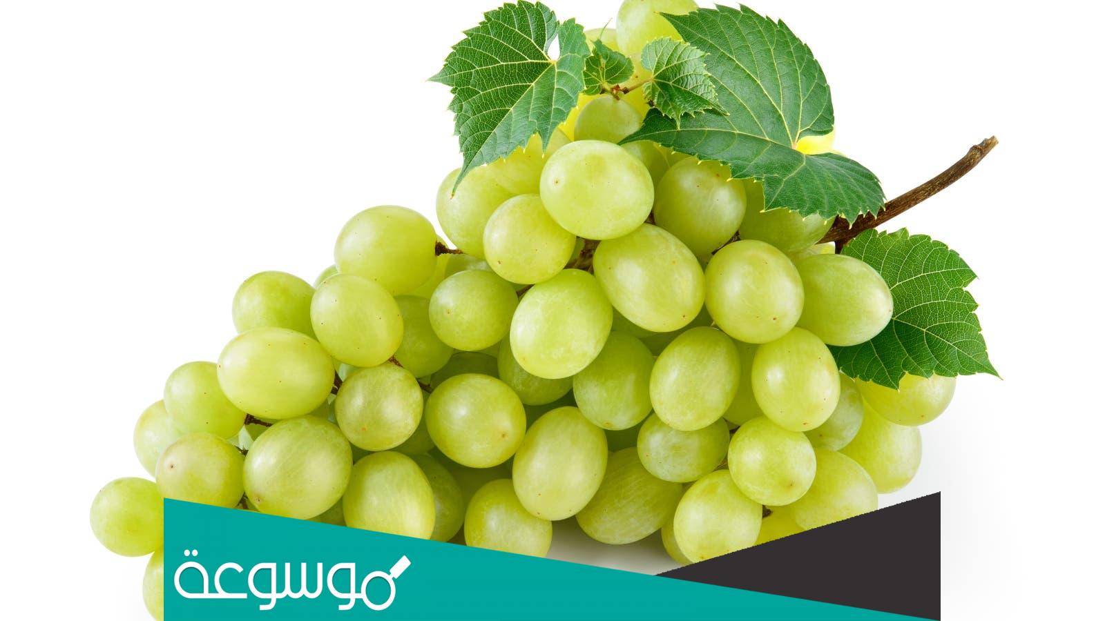 تفسير رؤية العنب الأخضر في المنام بمختلف الحالات للمتزوجة