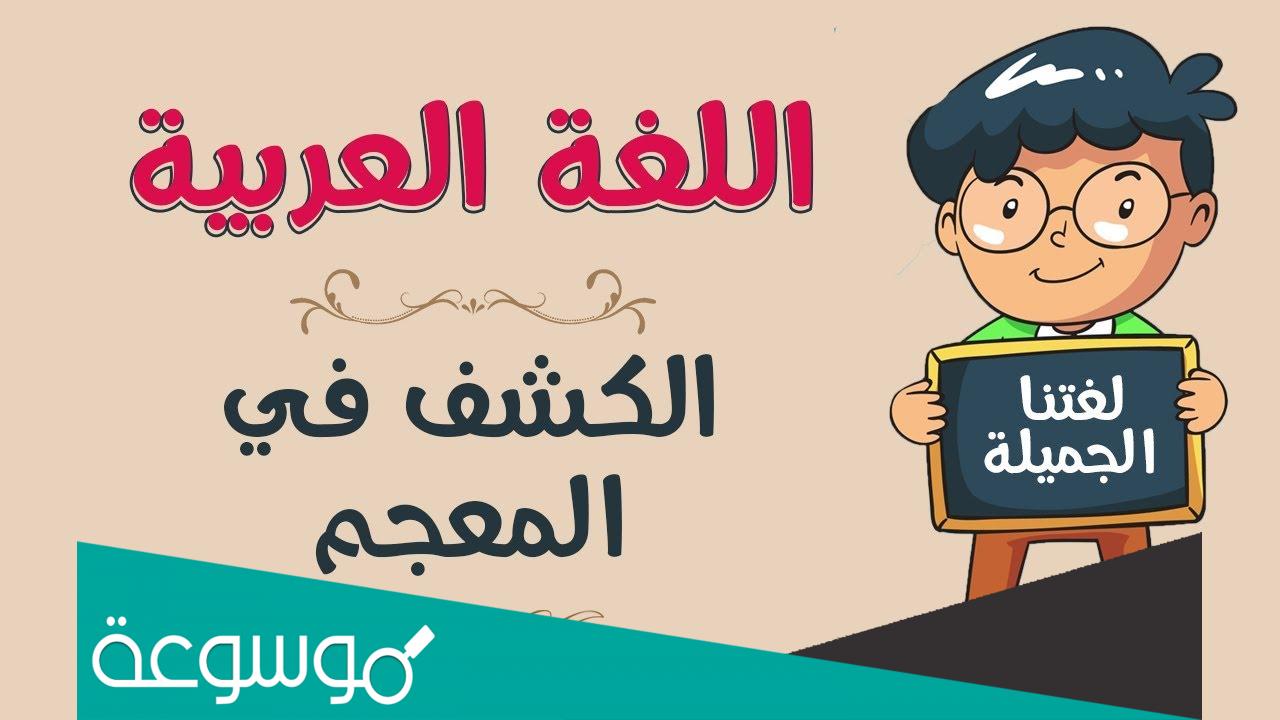 معني كلمة that باللغة العربية