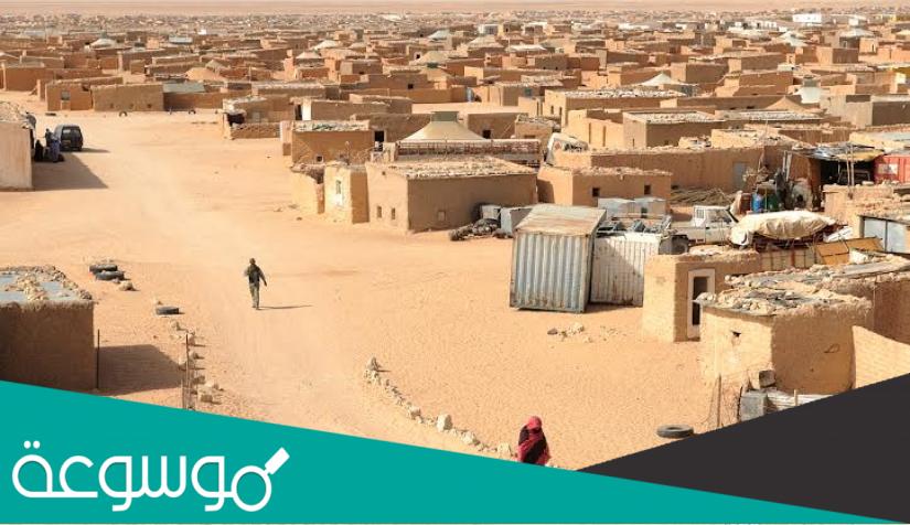 المتحمي وش يرجعون