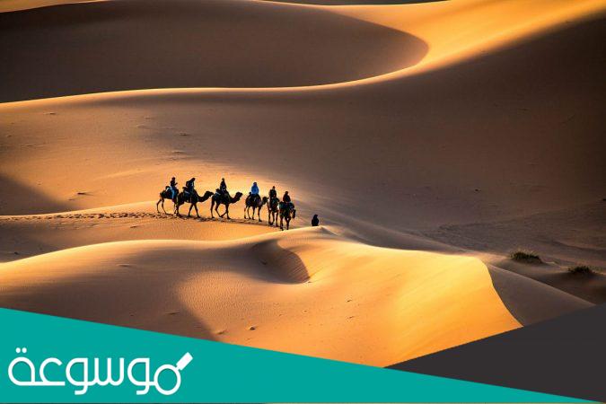 المطير من اي قبيلة