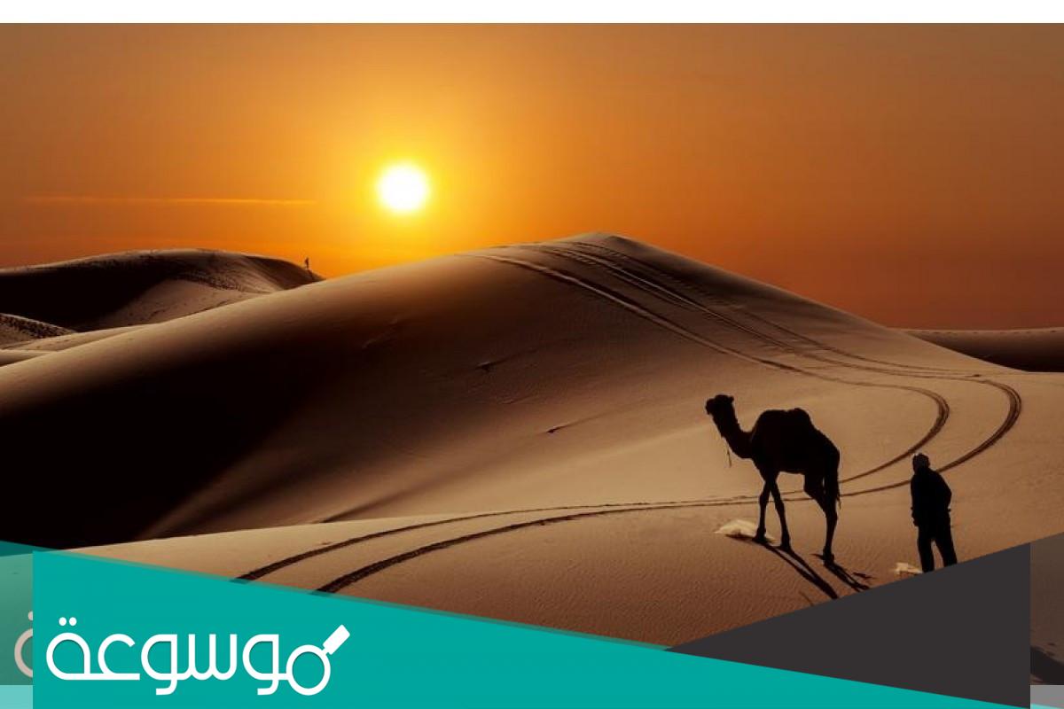 المعيوف وش يرجع