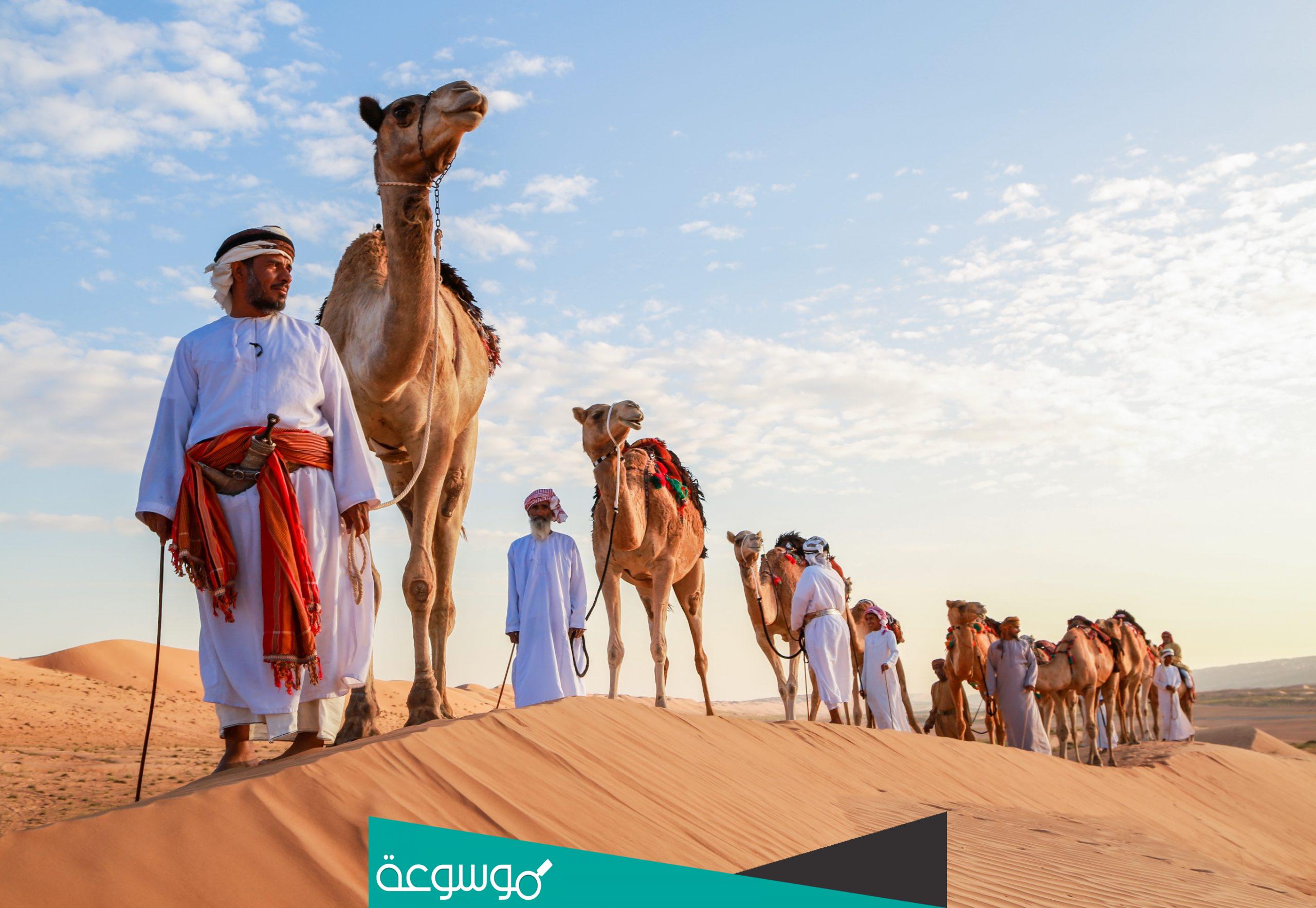 المقحم وش يرجعون له