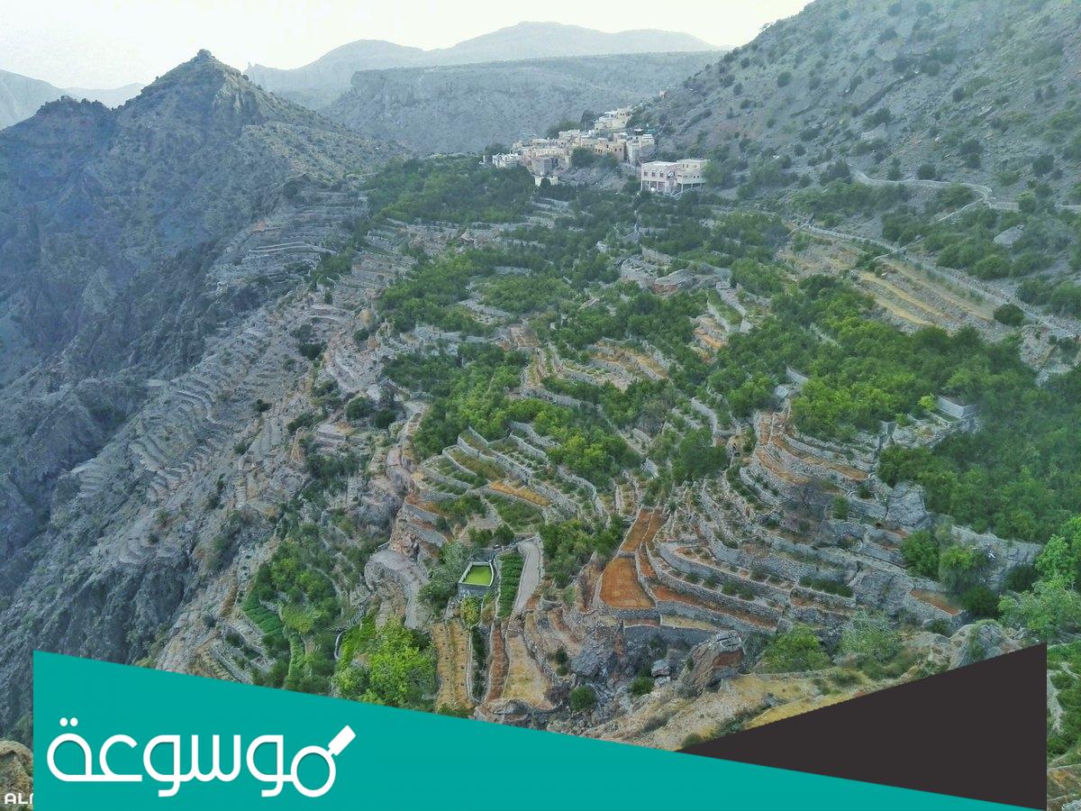 تفسير رؤية الجبل الأخضر في المنام للعزباء