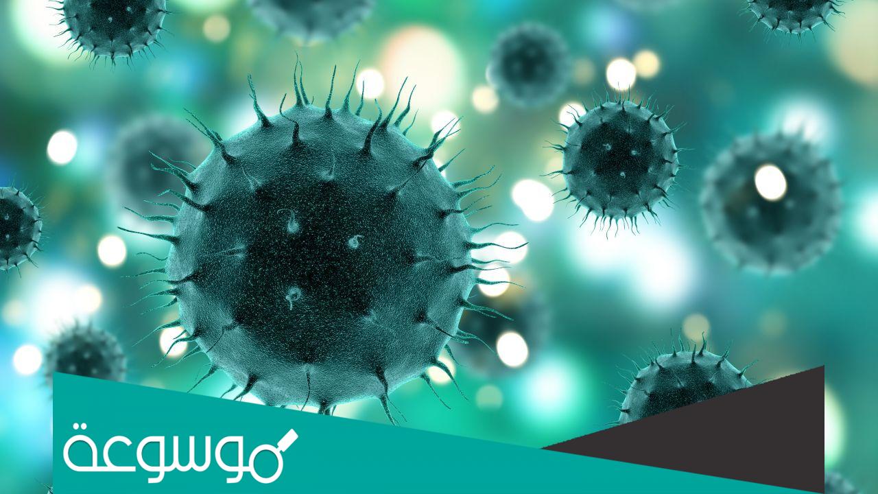 بحث عن البكتيريا كامل