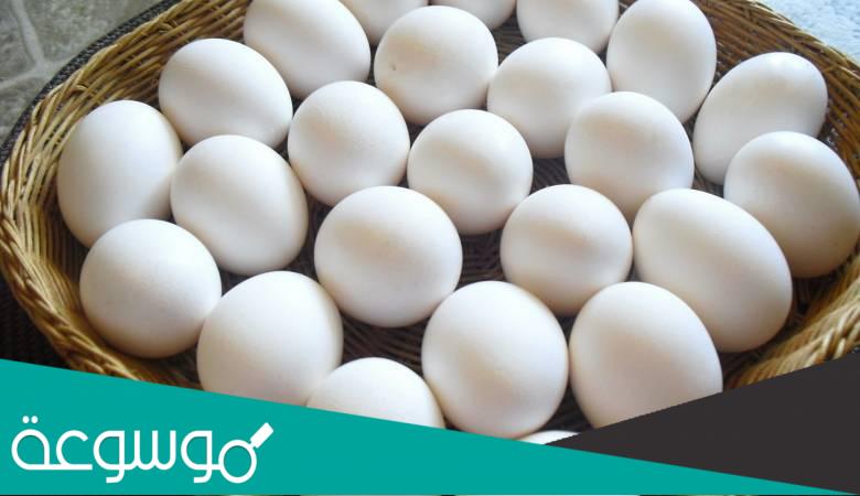 تفسير حلم البيض النيئ في المنام تفسيرات دقيقة وصحيحة