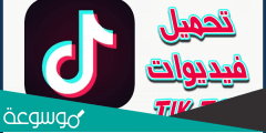 تحميل فيديو تيك توك بدون حقوق نشر