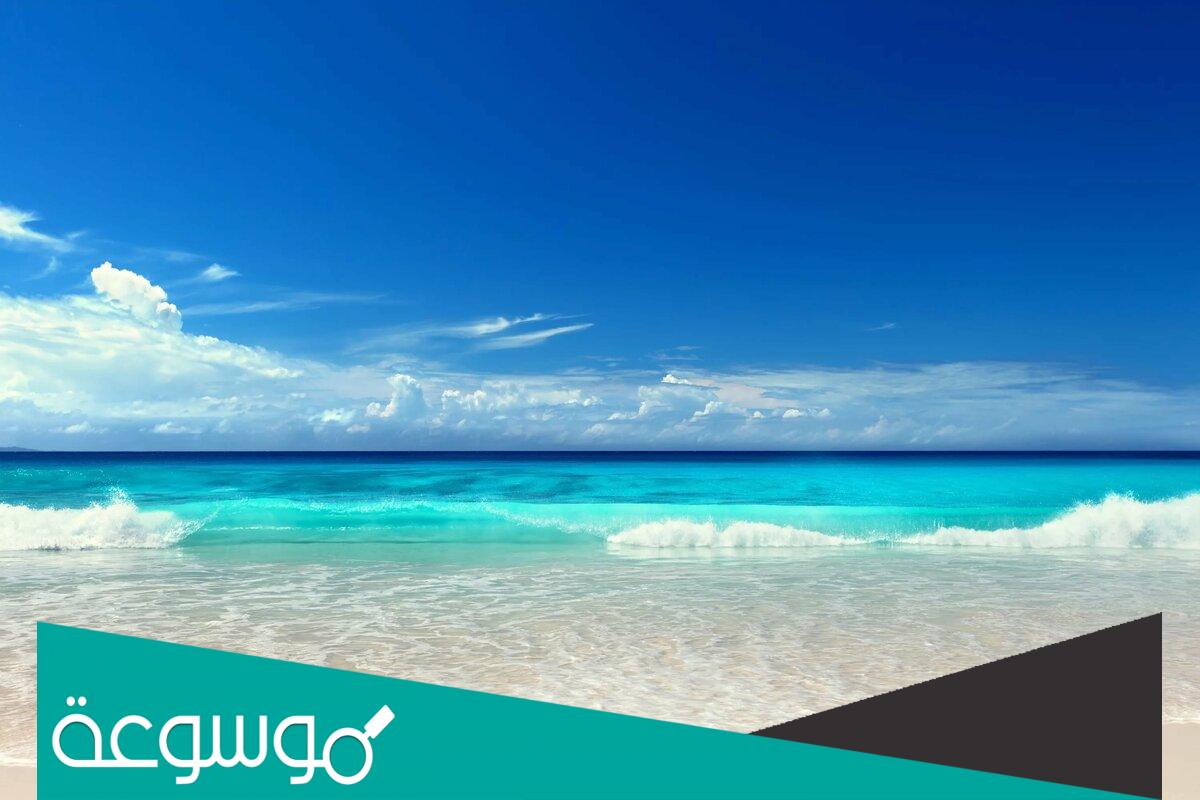 تفسير رؤية البحر الهادئ الصافي للعزباء والمتزوجة