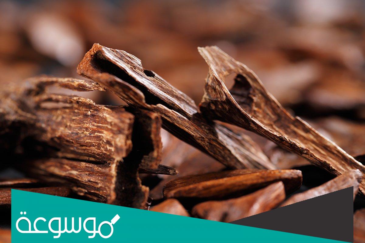 تفسير حلم رؤية العود الخشب في المنام حسب تفسير ابن سيرين