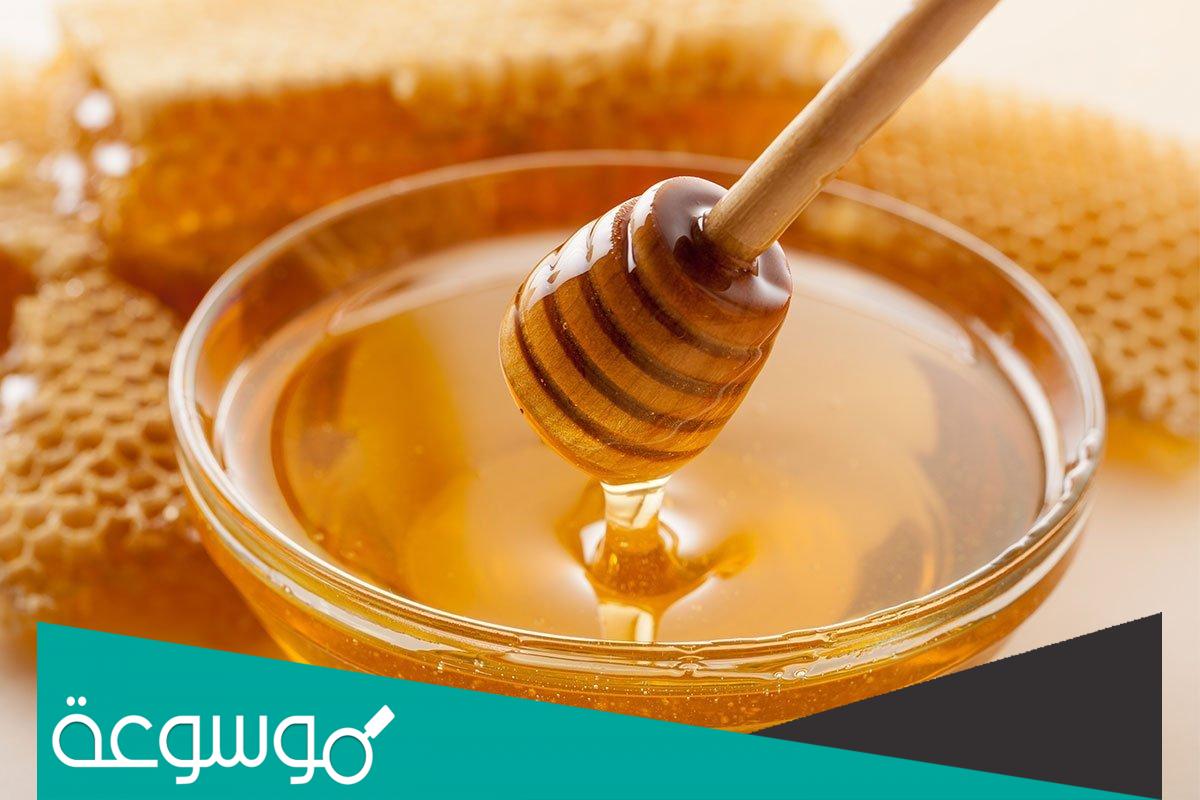 تفسير رؤية اهداء العسل في المنام حسب تفسير ابن سيرين