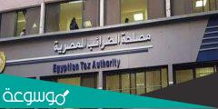 تقديم إقرار ضريبة القيمة المضافة عن طريق النت في مصر