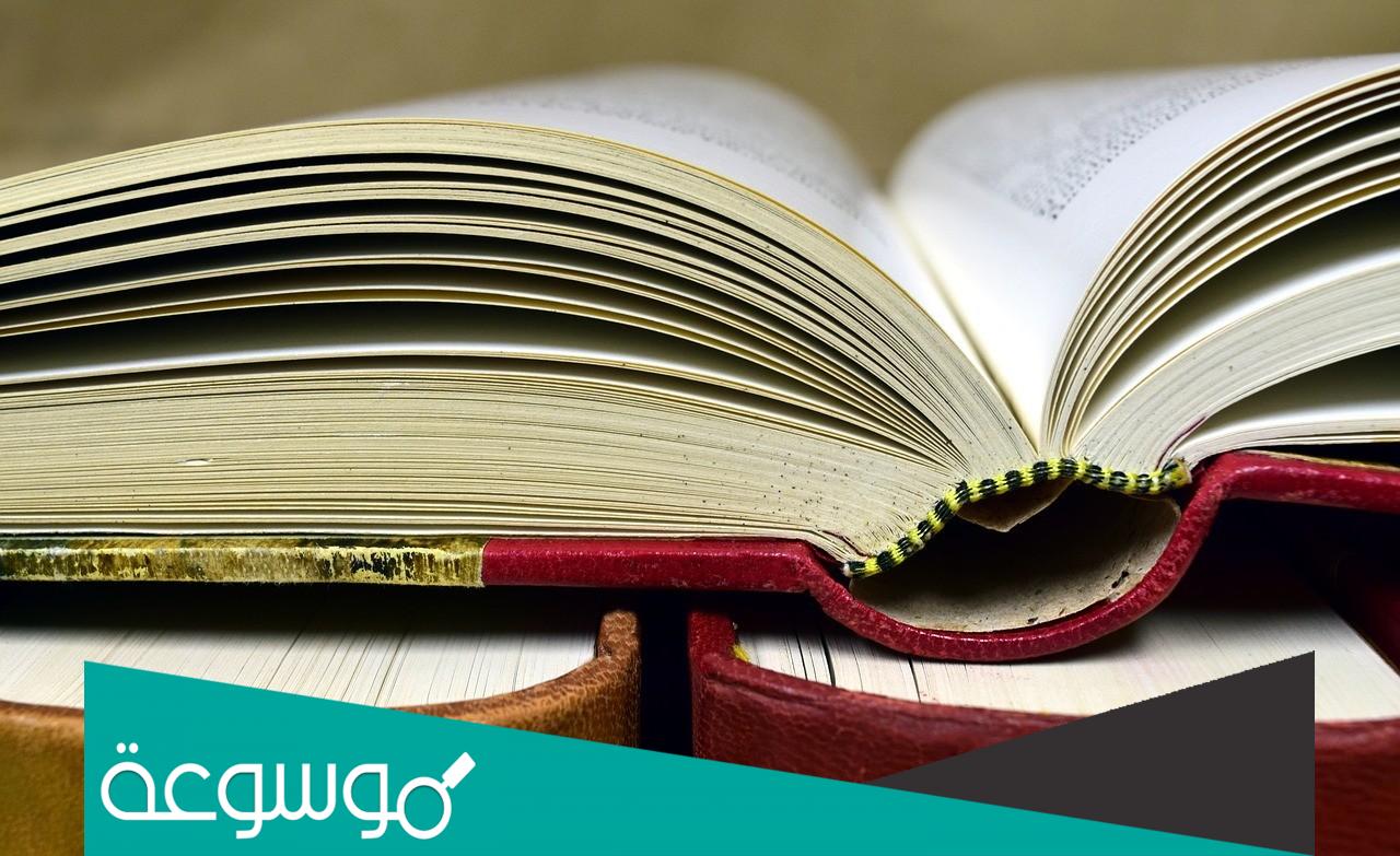 تلخيص قصة nom de plume بالفرنسية
