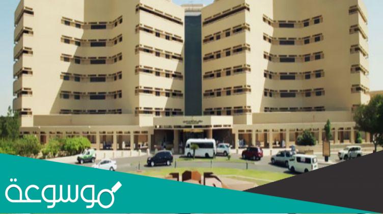 جدول السنة التأهيلية في جامعة الملك عبدالعزيز بالتفصيل 1443