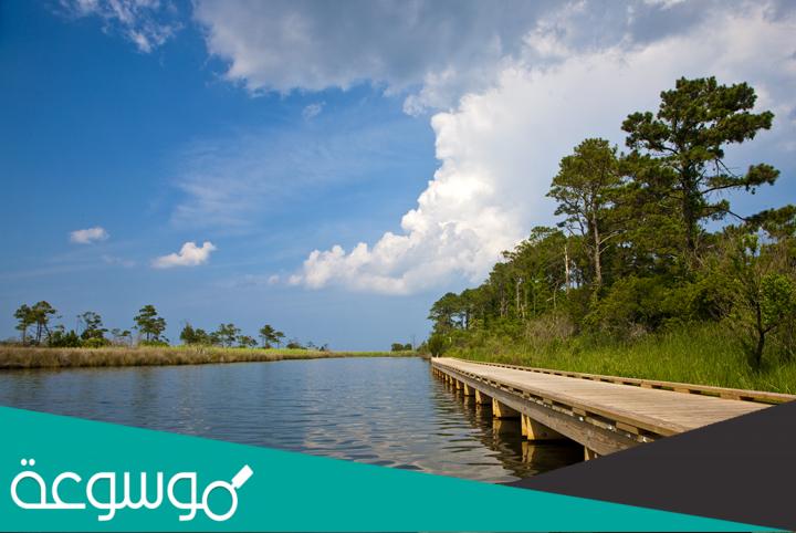 جزيرة روانوك