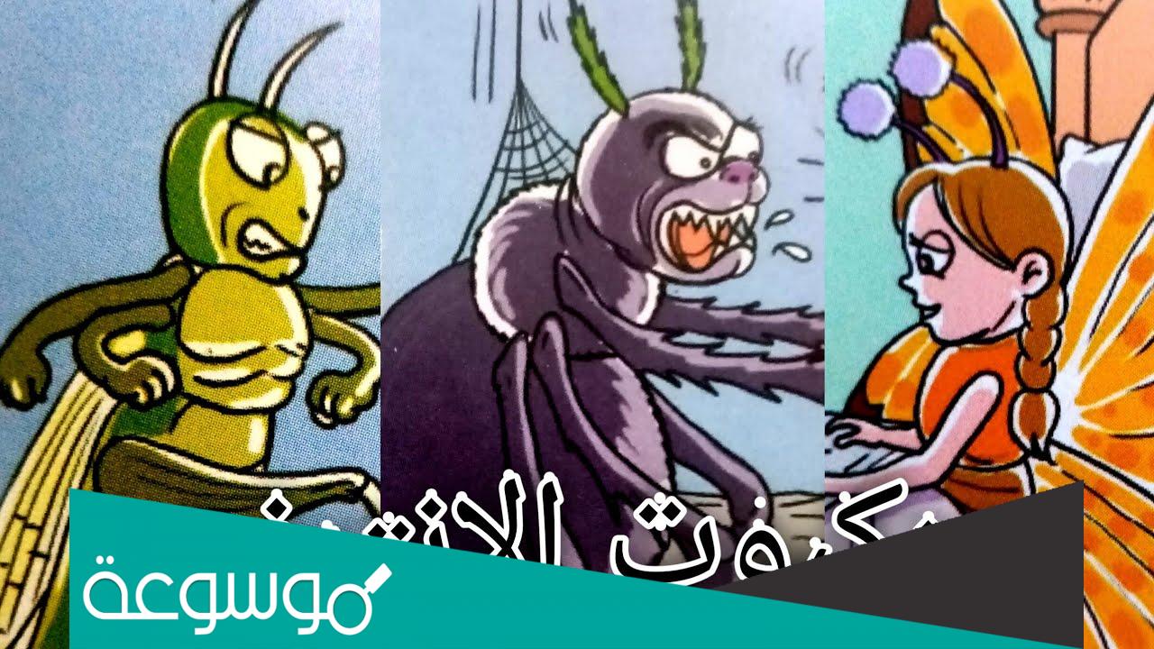 حكاية عنكبوت الانترنت مكتوبة pdf