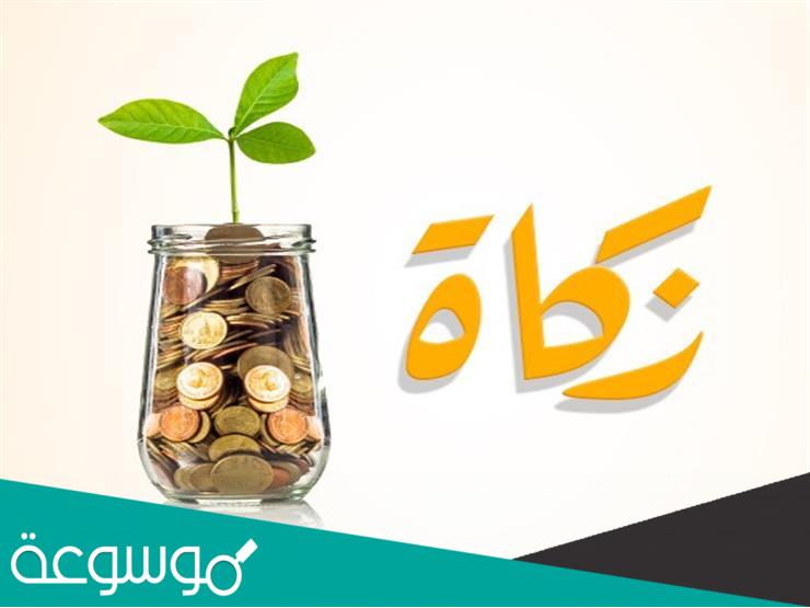 حكم إسقاط الدين عن المدين واعتبار ذلك من الزكاة