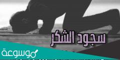 تفسير رؤية سجود الشكر في المنام للعزباء والمتزوجة والحامل