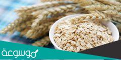 حمية الشوفان لإنقاص 5-7 كيلو جرام