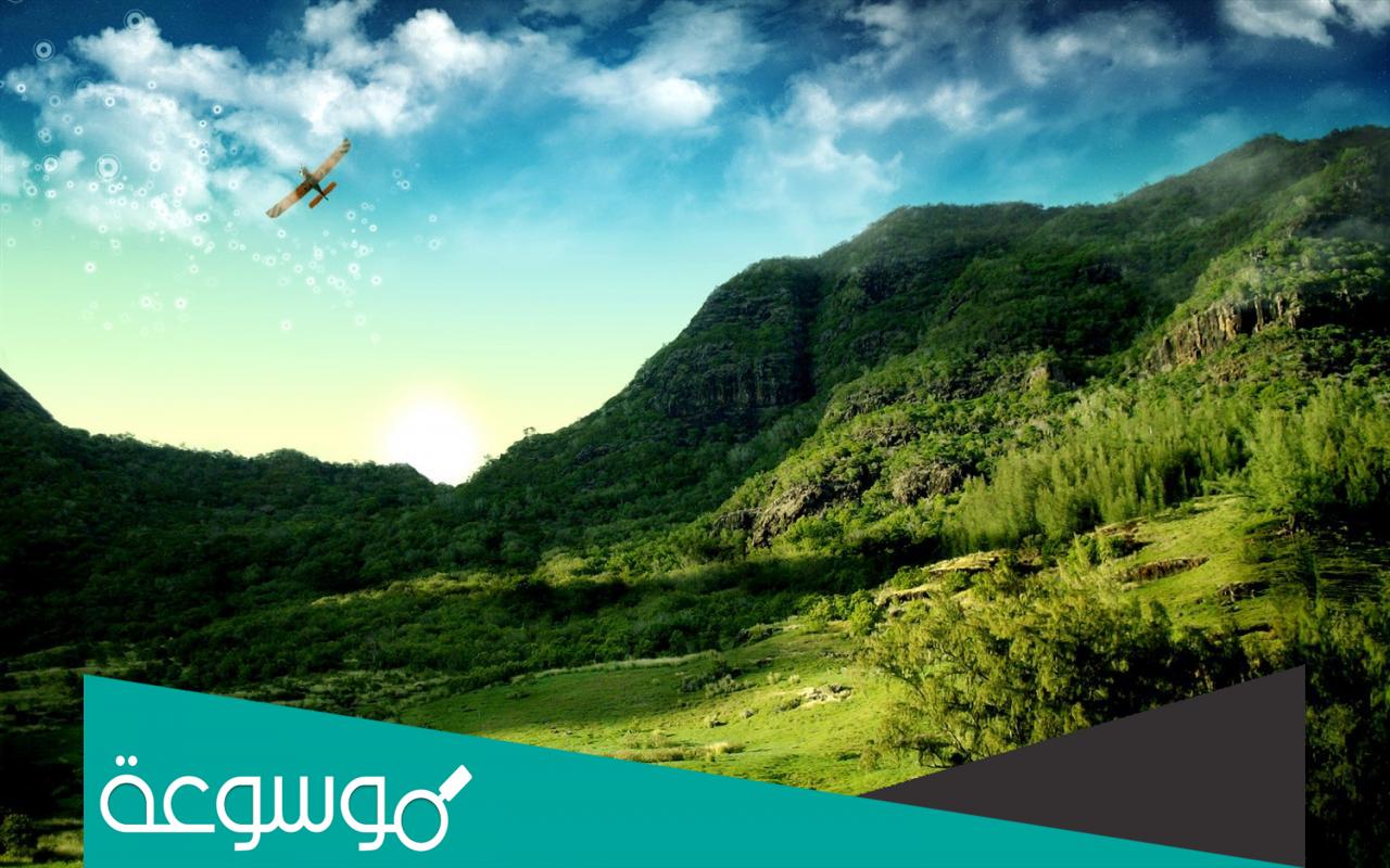 تفسير رؤية الأرض الخضراء في المنام لمختلف الحالات للعزباء