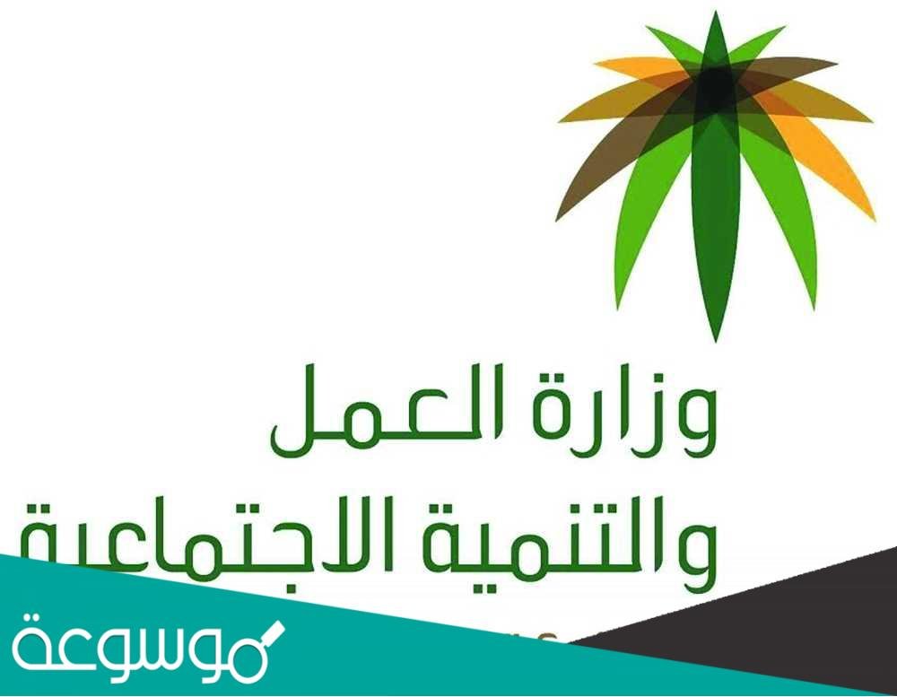 خطوات التقديم على معاش الضمان الاجتماعي + ” جدول الراتب “