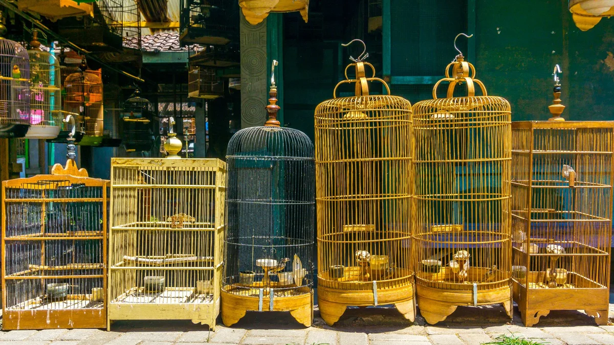 تفسير رؤية القفص في المنام تفسيرات مختلفة