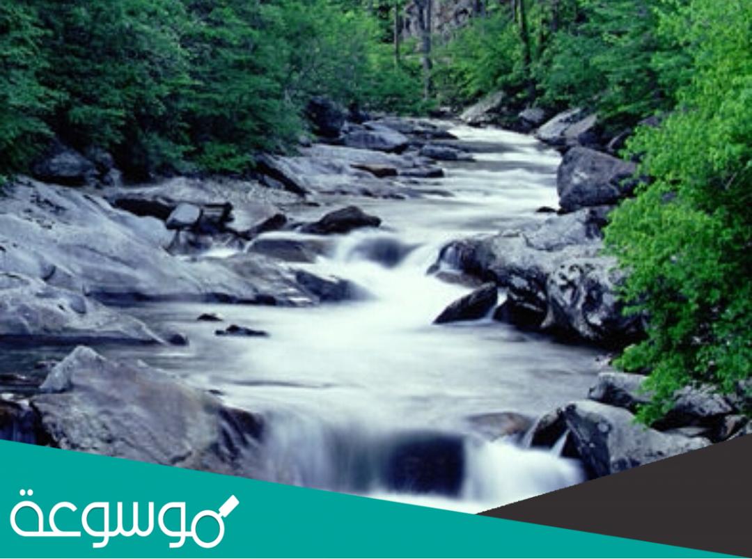 تفسير رؤية الماء الجاري في المنام حسب تفسير ابن سيرين