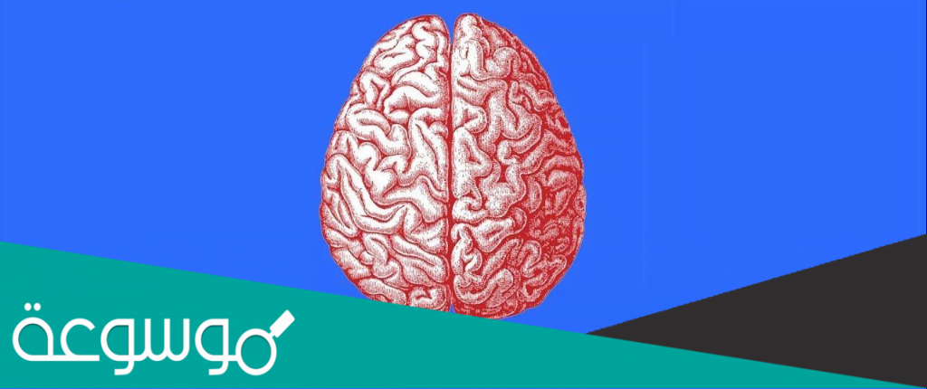 رابط اختبار كم عمر عقلك