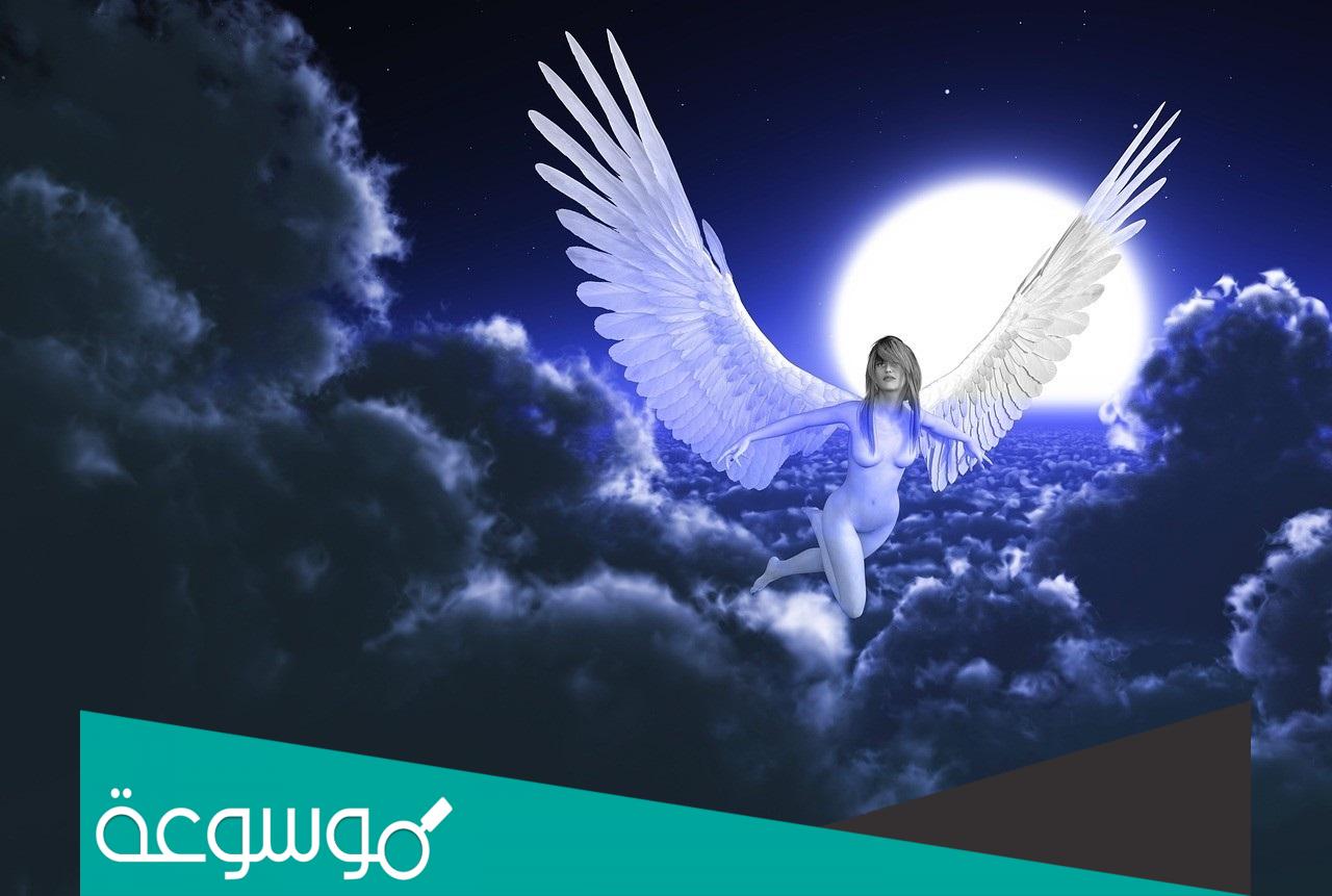 رواية الملاك الشرس pdf كاملة