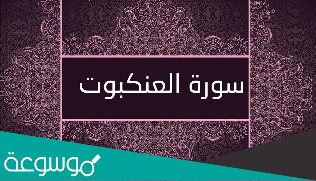 سبب تسمية سورة العنكبوت بهذا الإسم لذكر .