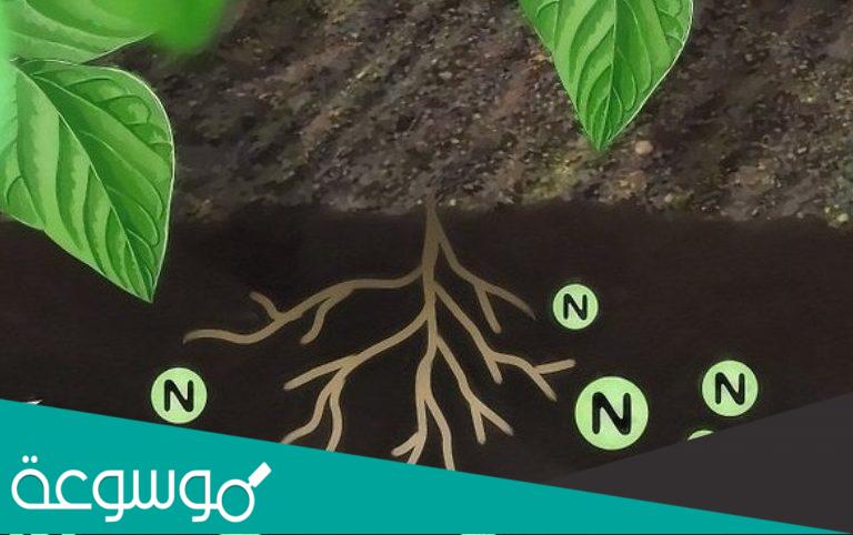 طرق تثبيت النيتروجين