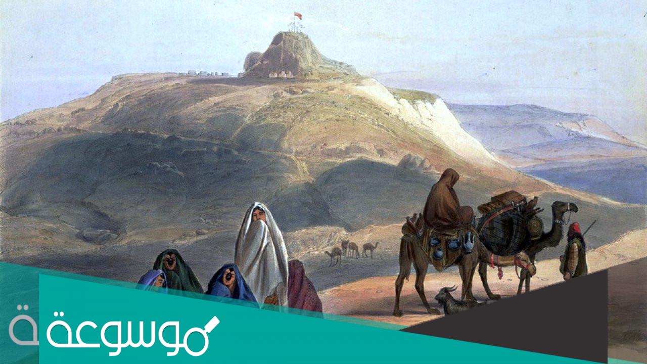 الشلوي وش يرجعون