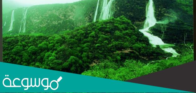 في اي دوله توجد محافظه ظفار