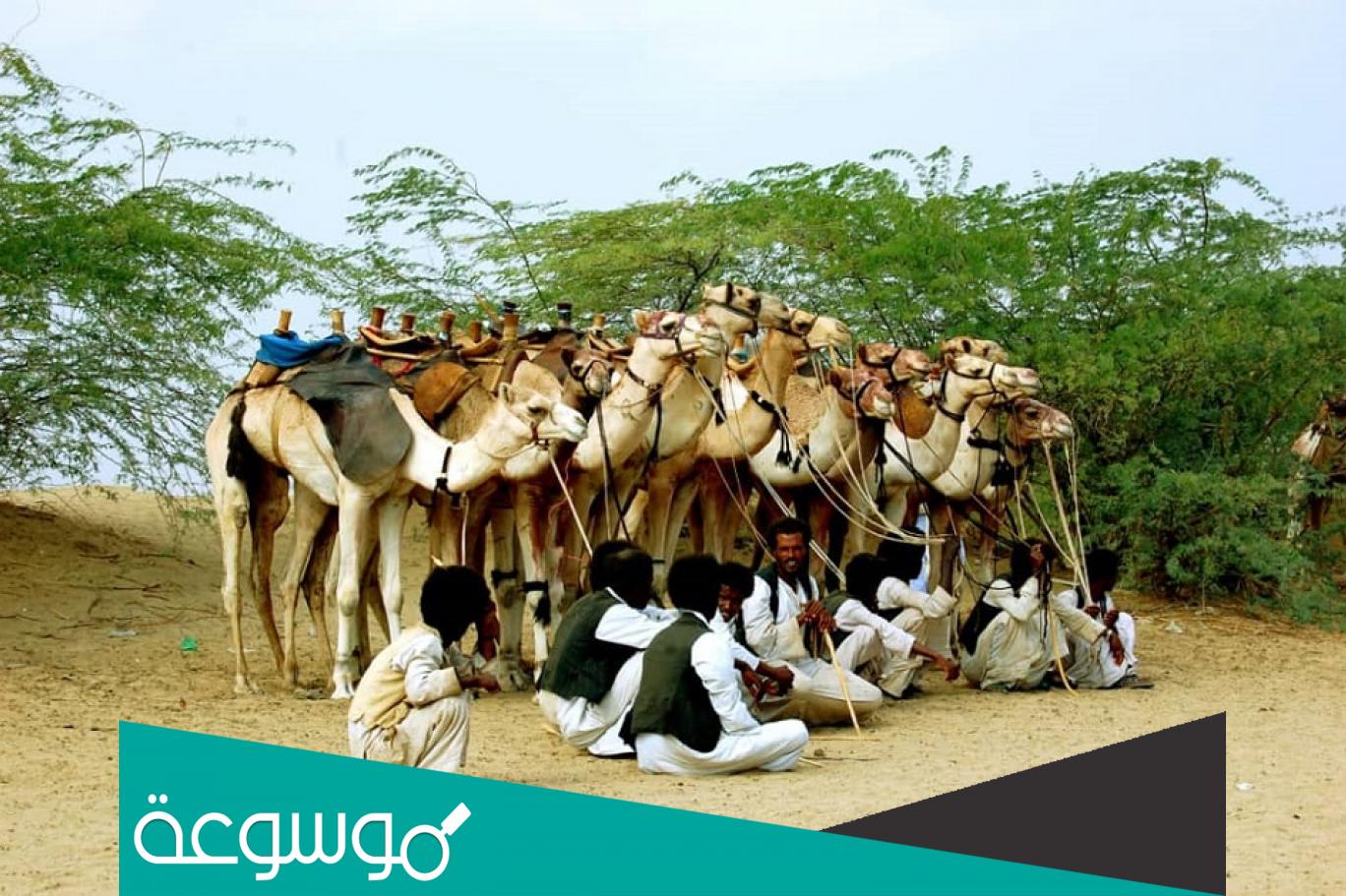 قبيلة المجانين في السودان