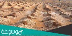 تفسير القبر في المنام لابن سيرين حالات مختلفة
