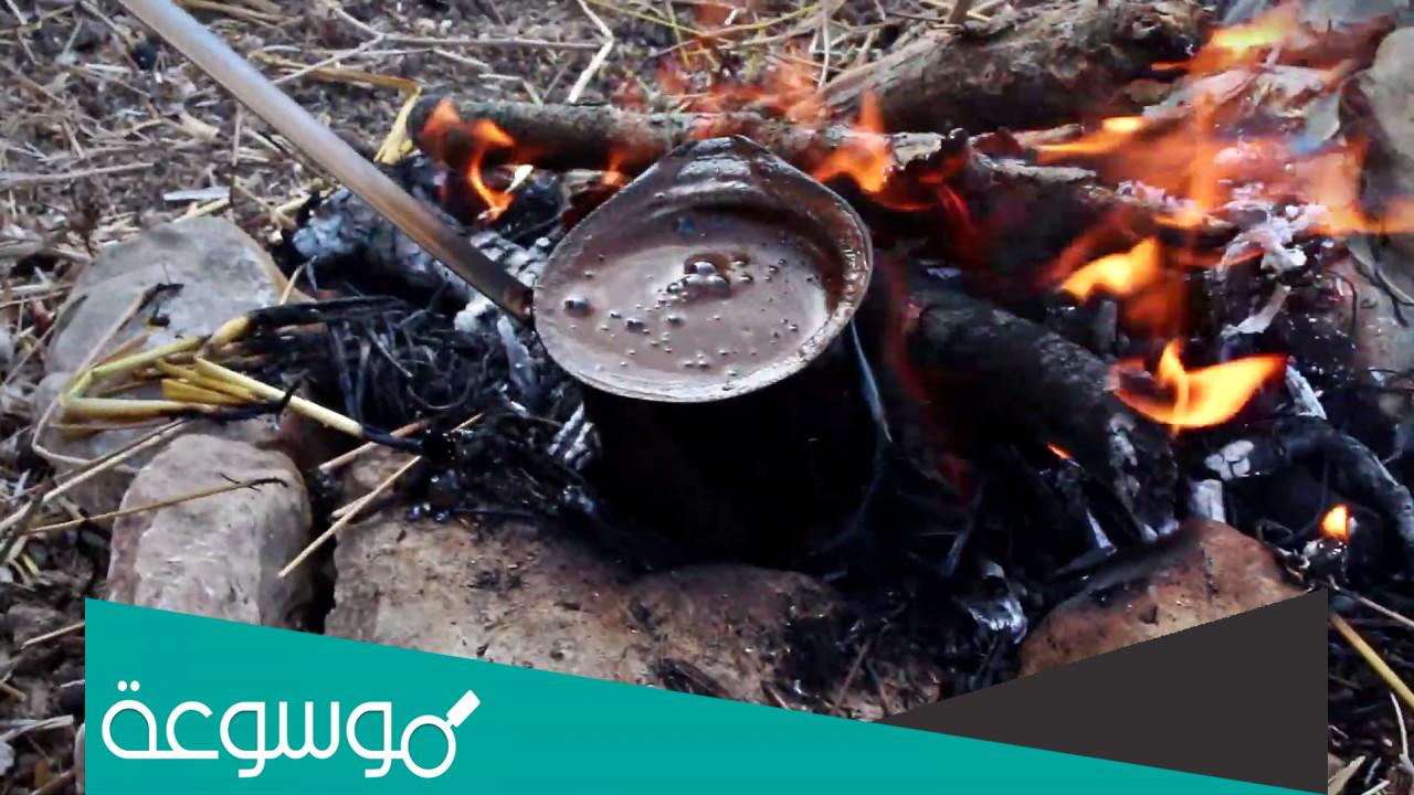 كلمات وين انت ياللي دلة الصبح تعجبك