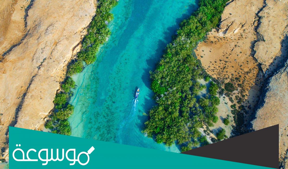 كم تبعد جزيرة فرسان عن جازان