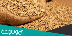 كم تبلغ اسعار الشعير في السعودية 1443