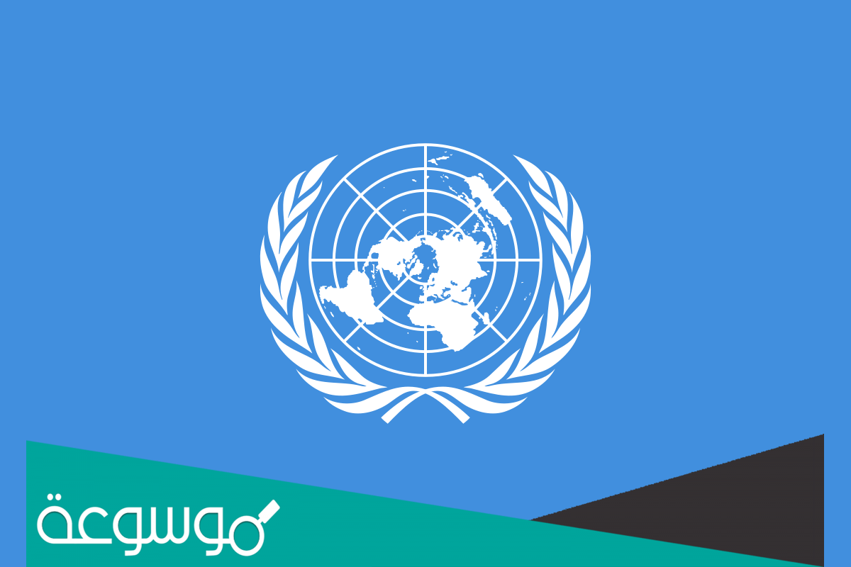 كم عدد اللغات الرسمية في الأمم المتحدة