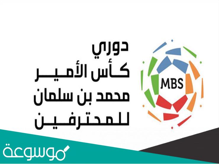 كم عدد جولات الدوري السعودي للمحترفين ونظام اللعب فيه