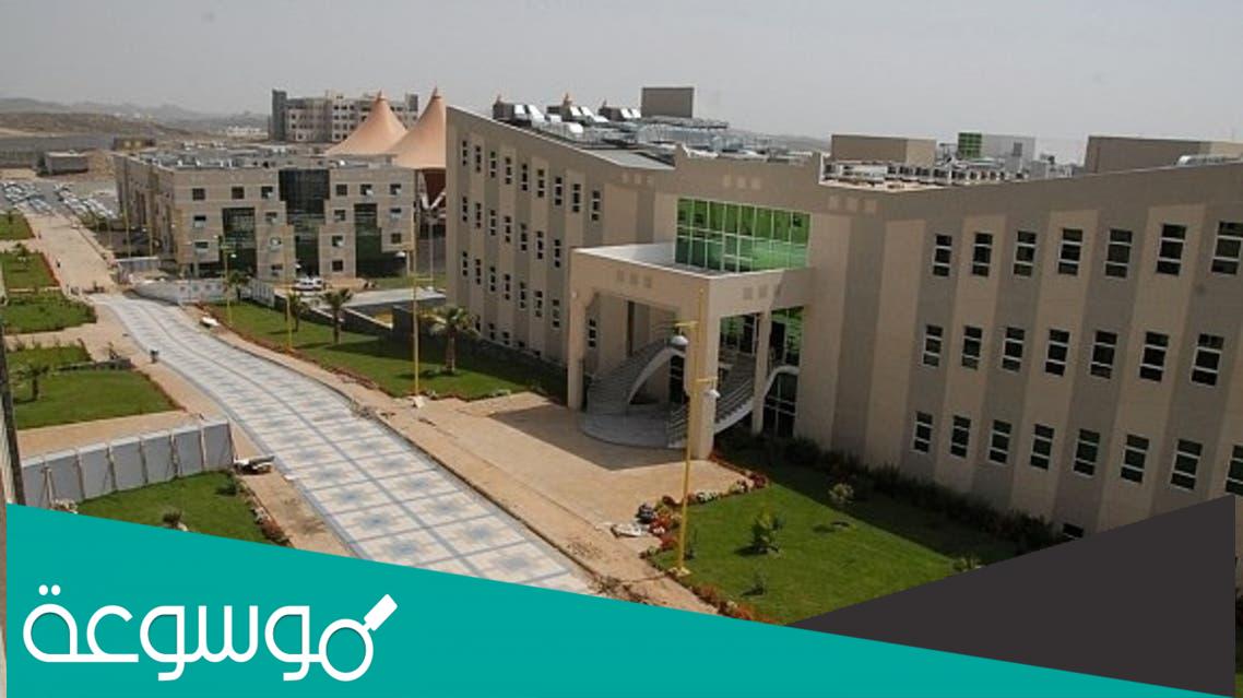 كم معدل مرتبة الشرف الاولى جامعة الملك خالد؟