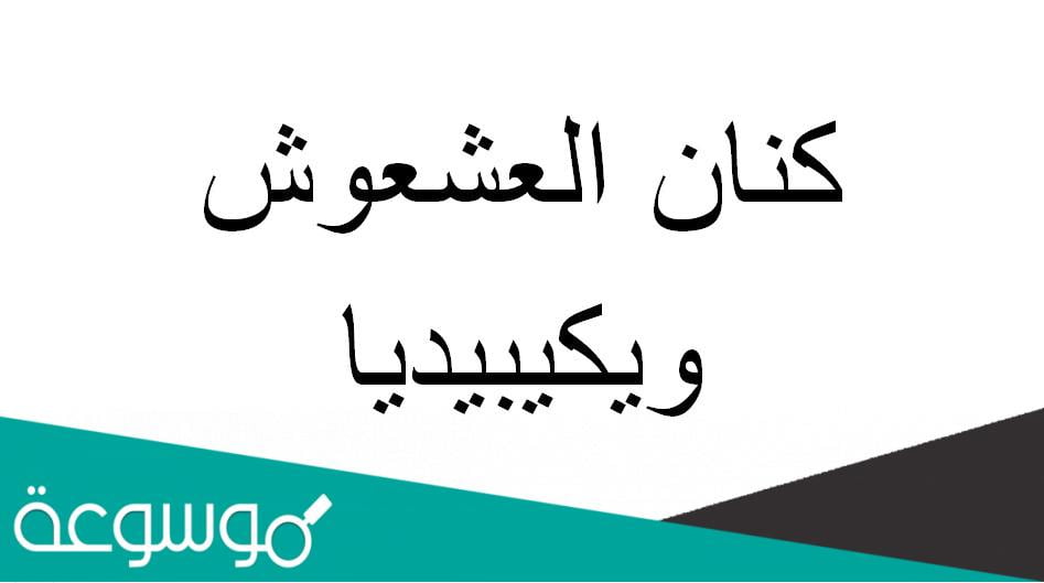 كنان العشعوش ويكيبيديا