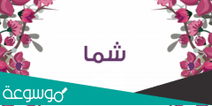 معنى اسم شما وصفات حاملة الاسم