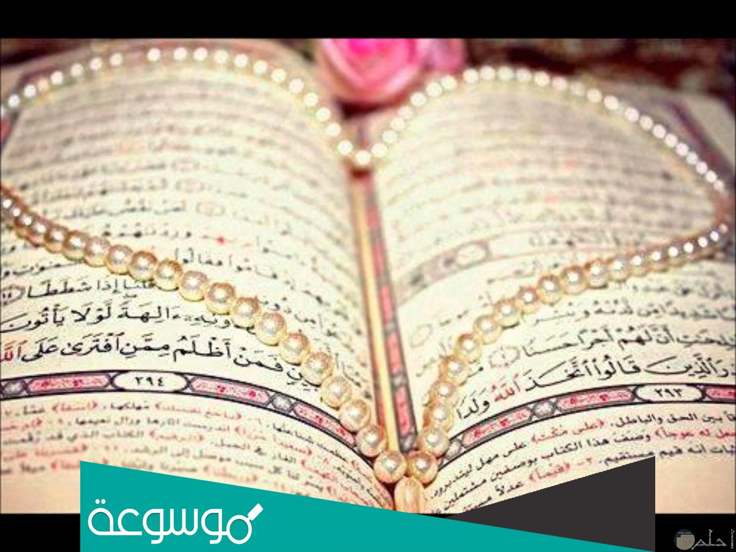 ما السورة التي يتواجد بها سجدتين؟