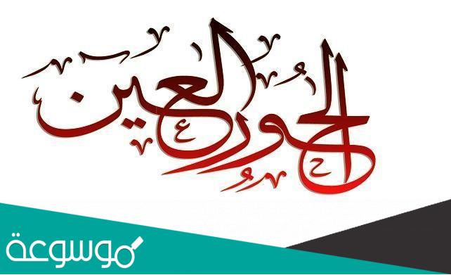 ما صفات حور العين في القرآن بالتفصيل