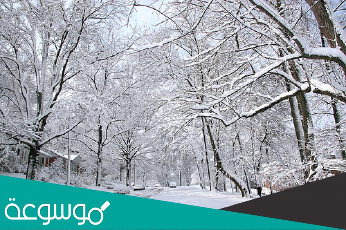 ما معنى منخفض من الدرجة الثالثة؟