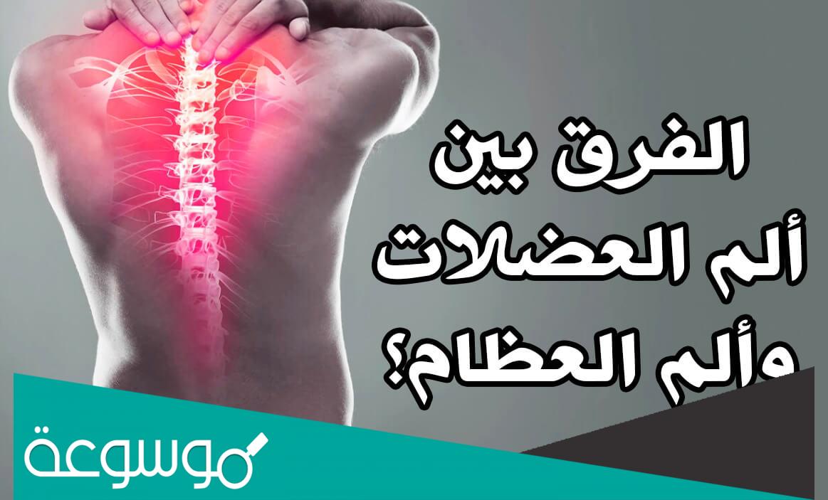 علاج الآلام العضلية في المنزل واسبابها