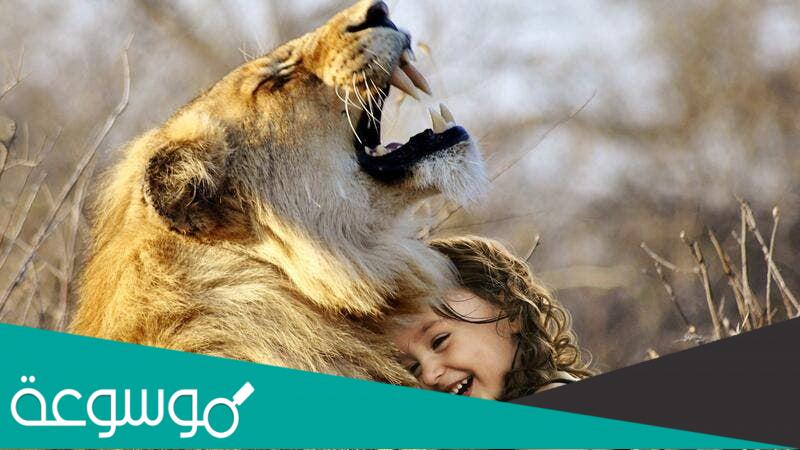 ما هو حيوانك الروحي