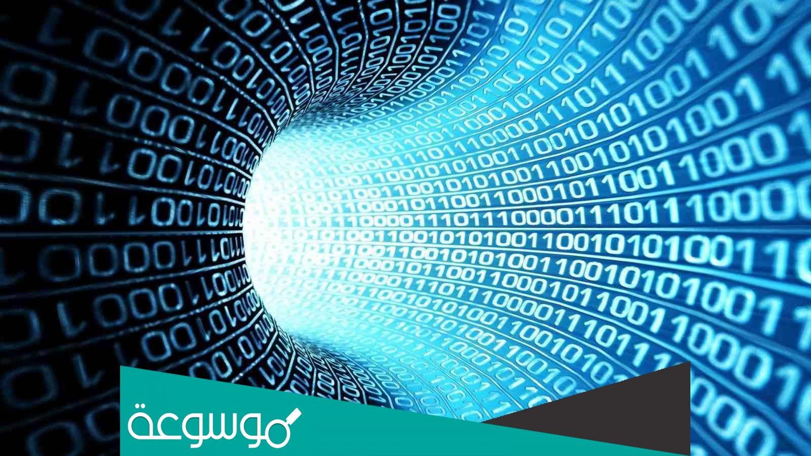 ما هي البنية الاساسية لقاعدة البيانات