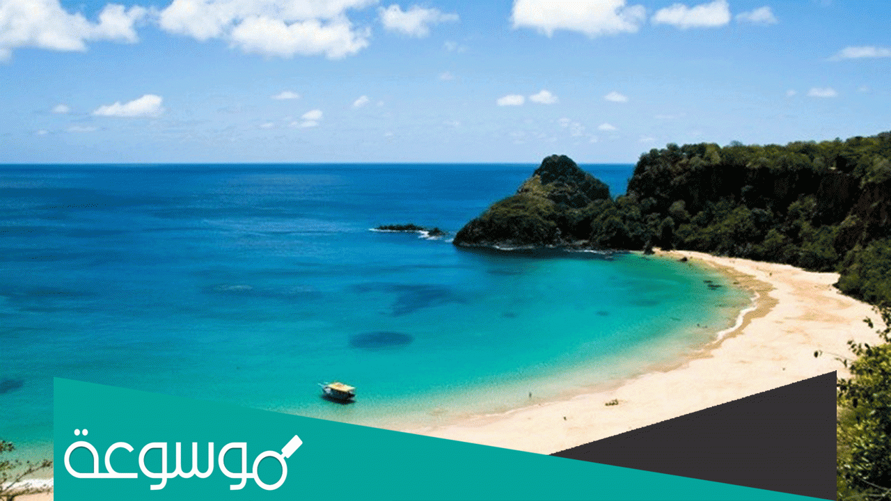 ما هي الدولة التي تمتلك أطول ساحل في العالم